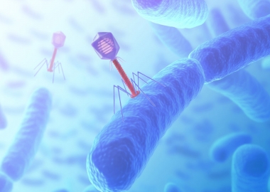 Công ty khởi nghiệp về thực thể khuẩn (bacteriophage) giành được khoản tài trợ 21 triệu euro