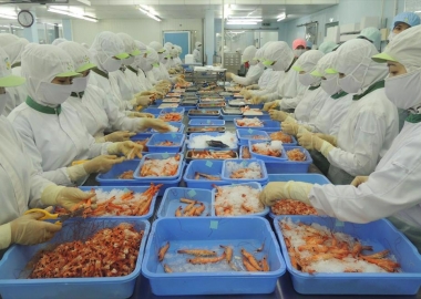 Tôm Việt Nam vượt qua nhiều làn sóng Covid