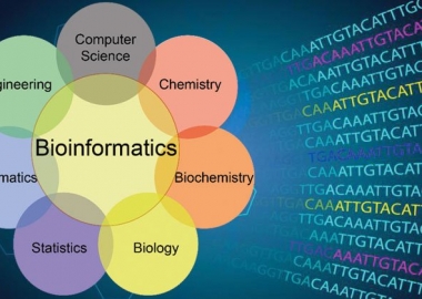 Công cụ “tin sinh học” (bioinformatics) xác định loài cá rô phi lai