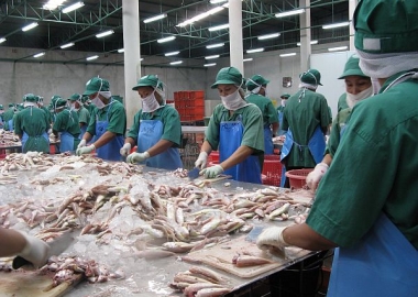Trung Quốc cấm thêm 5 công ty xuất khẩu thủy sản sau khi phát hiện COVID trên bao bì