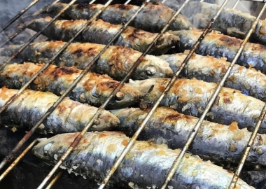 Mọi thứ bạn cần biết về cá mòi ở Lisbon