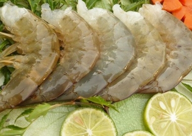 FDA từ chối thông quan nhiều lô hàng nhiễm kháng sinh trong quí 1.2021