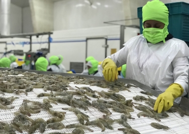 Dịch COVID-19 đã thay đổi dự báo tích cực về tôm trong năm 2020