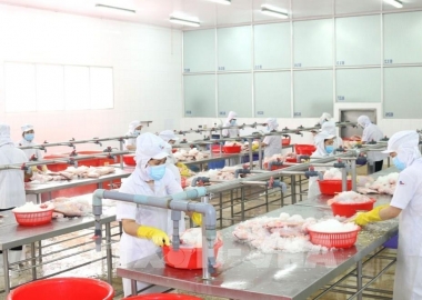 Doanh nghiệp tôm hoạt động “3 tại chỗ”