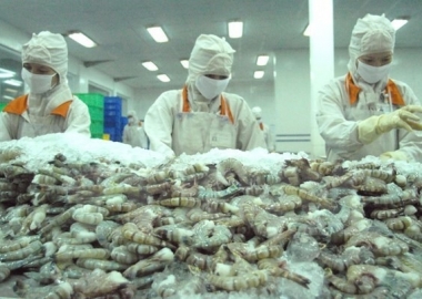 Hơn 70% nhà máy đóng cửa, ngành thủy sản khẩn thiết đề nghị tiêm vắc xin cho công nhân
