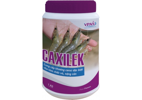 CANXILEK