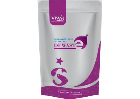 DEWASTE