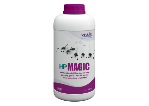 HP MAGIC