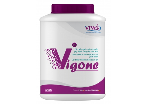 VIGONE