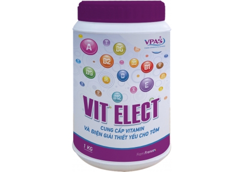 VIT ELECT