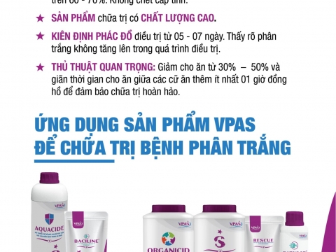 Các qui trình ứng dụng sản phẩm