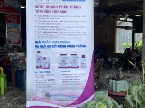 Hình ảnh sản phẩm tại thị trường