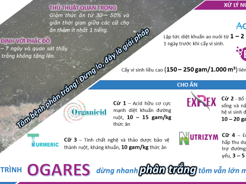 Các qui trình ứng dụng sản phẩm