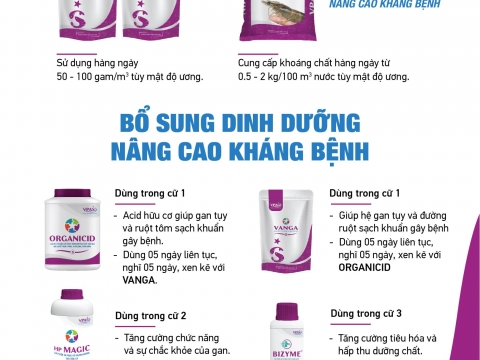 Các qui trình ứng dụng sản phẩm