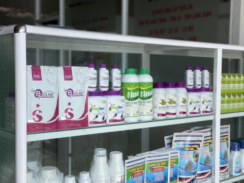 Hình ảnh sản phẩm tại thị trường
