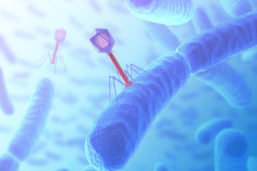 Công ty khởi nghiệp về thực thể khuẩn (bacteriophage) giành được khoản tài trợ 21 triệu euro