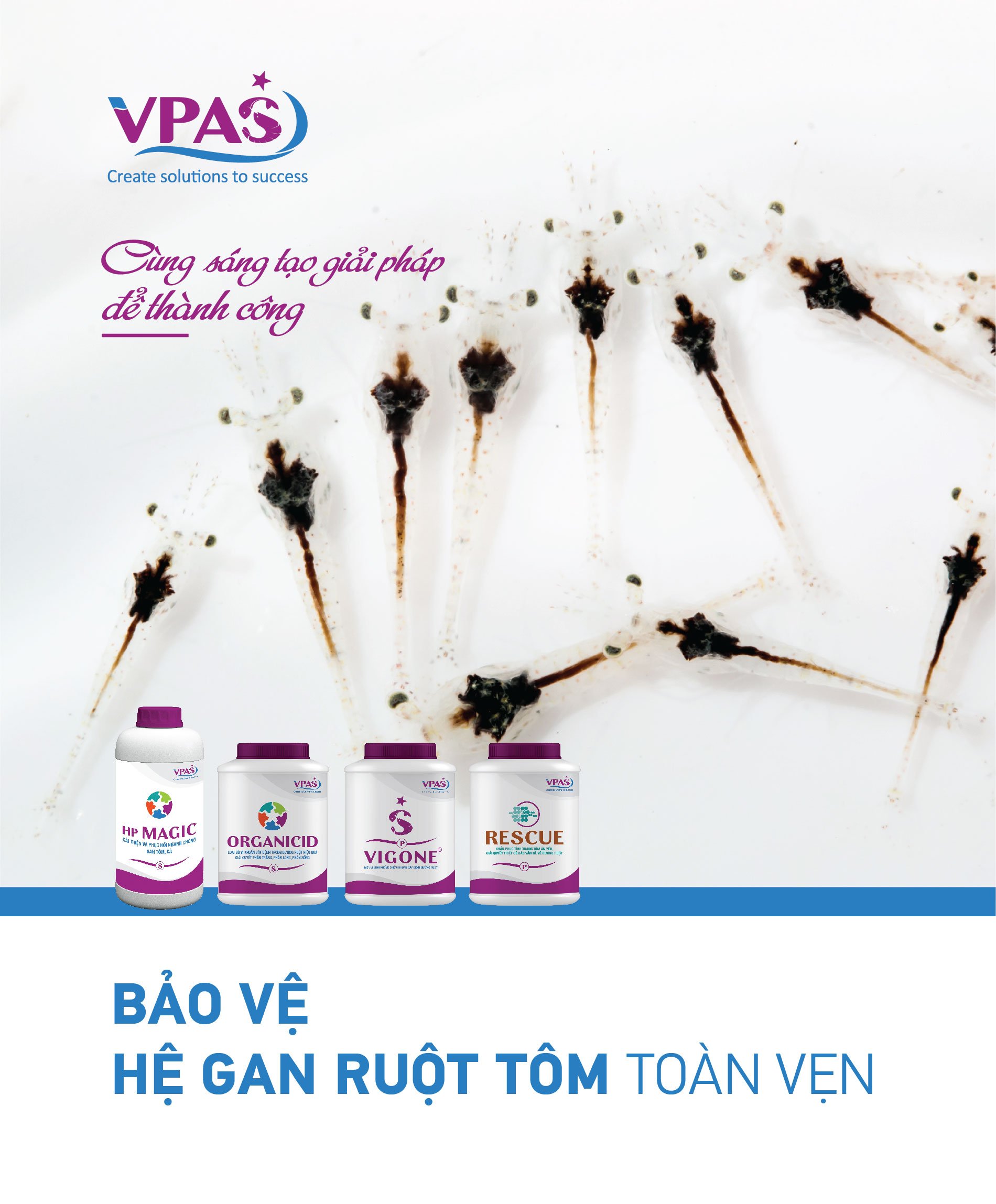 Bảo vệ gan ruột tôm bằng chiến lược đúng đắn
