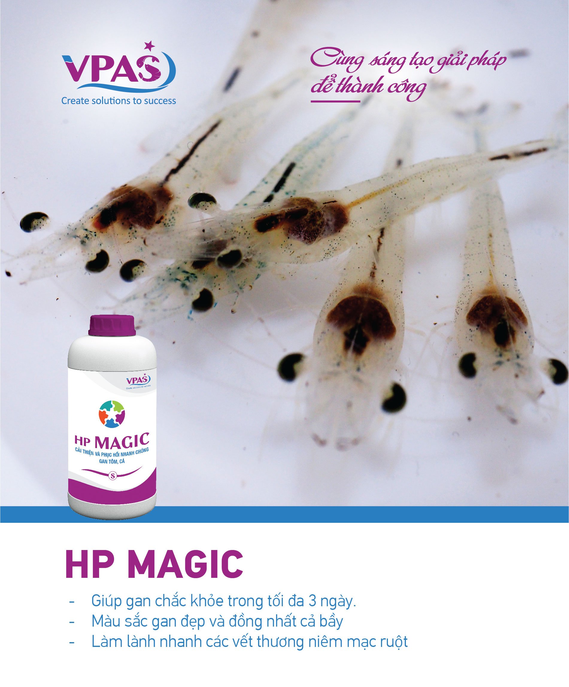 Vì sao HP MAGIC là trợ thủ đắc lực và hoàn hảo cho gan