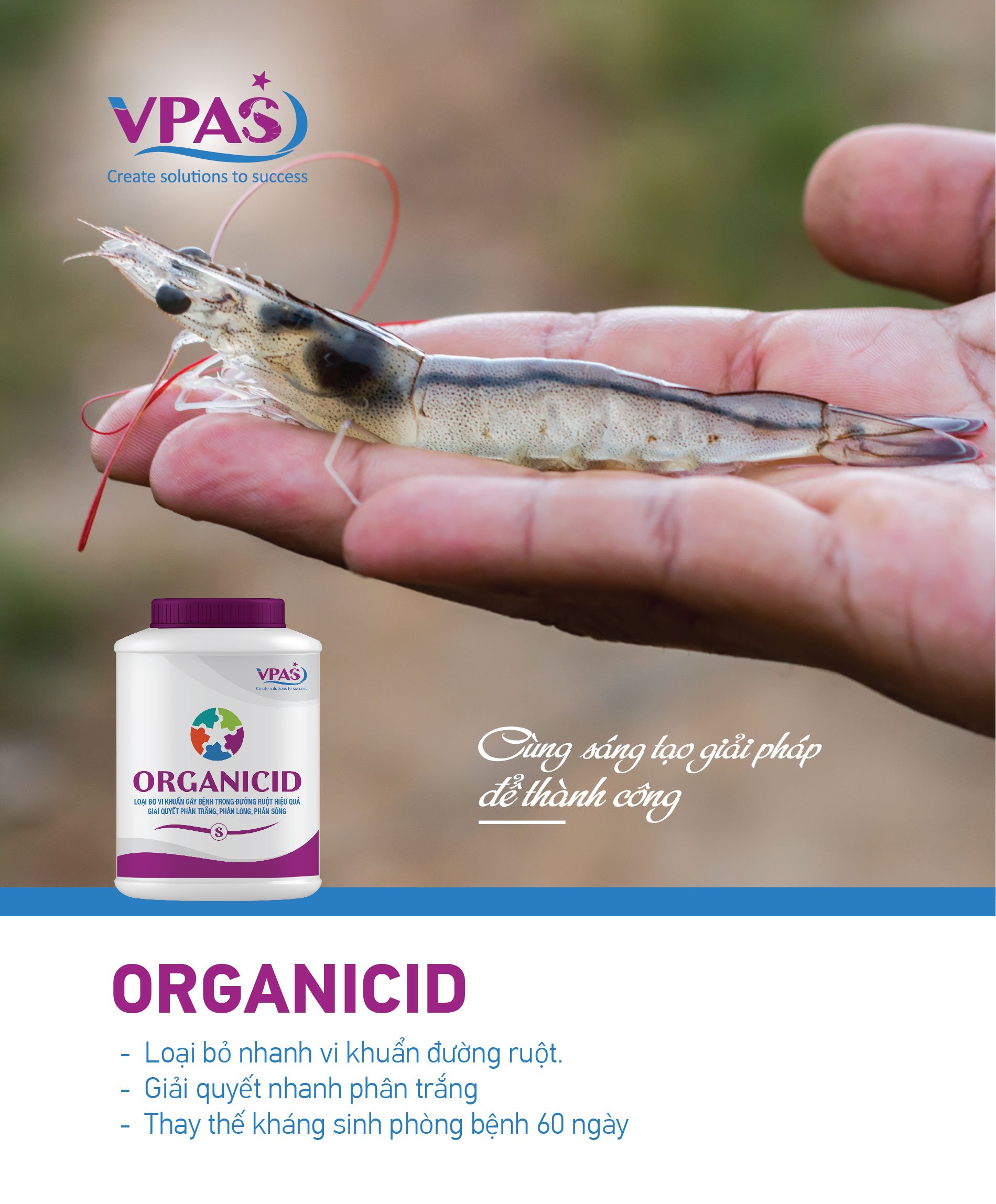 ORGANICID - Không chỉ là thay thế kháng sinh