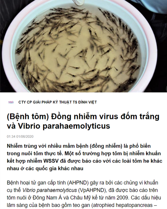 Trang Zalo Official (OA)