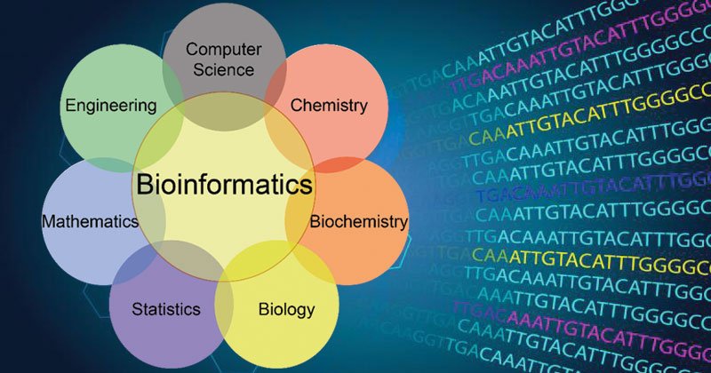 Công cụ “tin sinh học” (bioinformatics) xác định loài cá rô phi lai