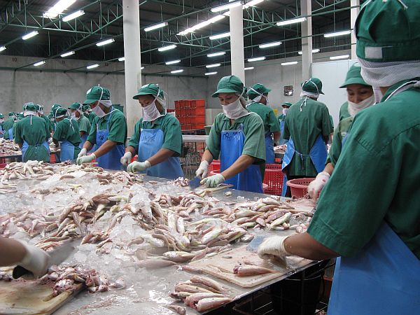 Trung Quốc cấm thêm 5 công ty xuất khẩu thủy sản sau khi phát hiện COVID trên bao bì