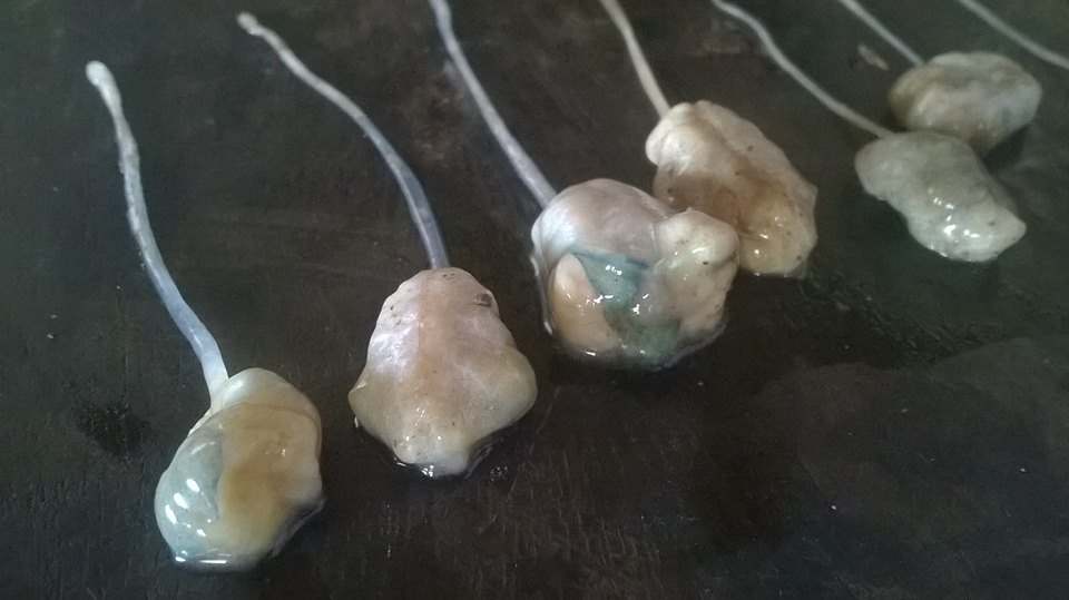 Cuộc chiến chống EMS