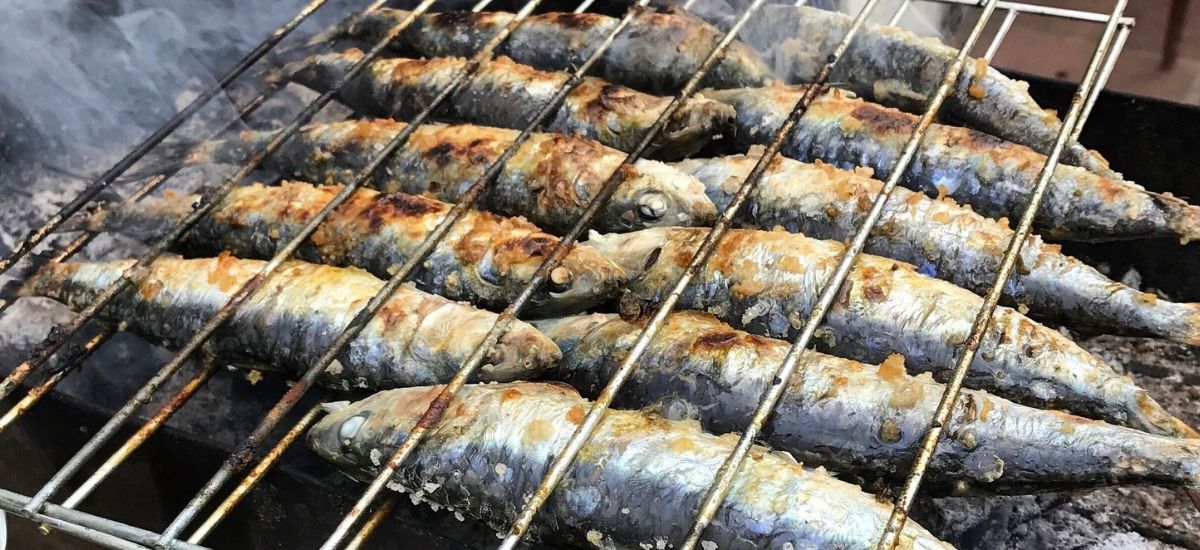 Mọi thứ bạn cần biết về cá mòi ở Lisbon