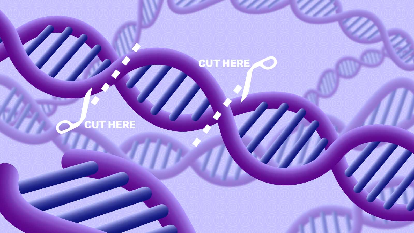 Ứng dụng công nghệ CRISPR trong ngành thủy sản