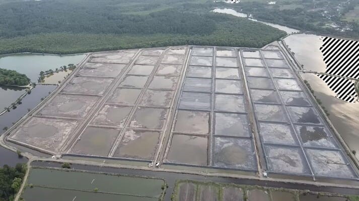Áp dụng kỹ thuật nuôi tôm châu Á mang lại lợi ích cho Guatemala