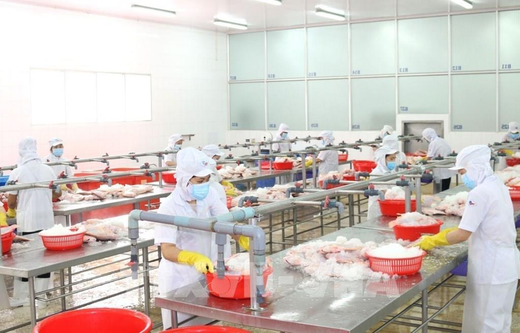 Doanh nghiệp tôm hoạt động “3 tại chỗ”