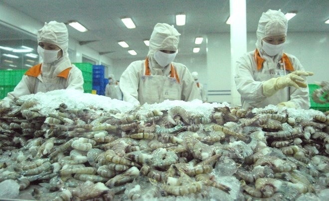 Hơn 70% nhà máy đóng cửa, ngành thủy sản khẩn thiết đề nghị tiêm vắc xin cho công nhân