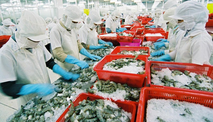 Xuất khẩu tôm Việt Nam và Ecuador